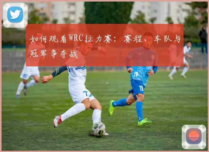 如何观看WRC拉力赛：赛程、车队与冠军争夺战