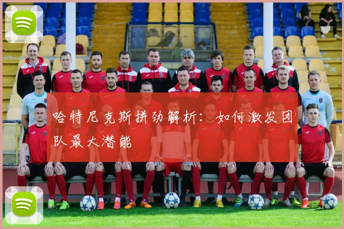 哈特尼克斯拼劲解析:如何激发团队最大潜能