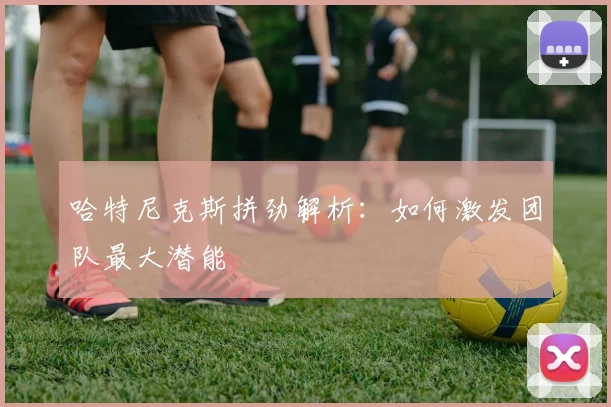 哈特尼克斯拼劲解析:如何激发团队最大潜能